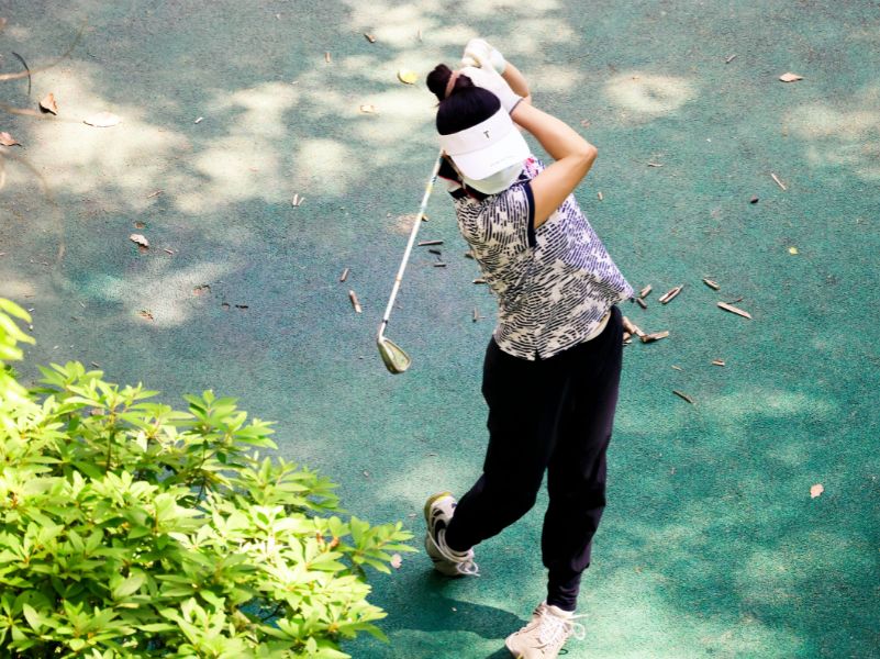 A Data-Driven Guide to Driver Shot Dispersion